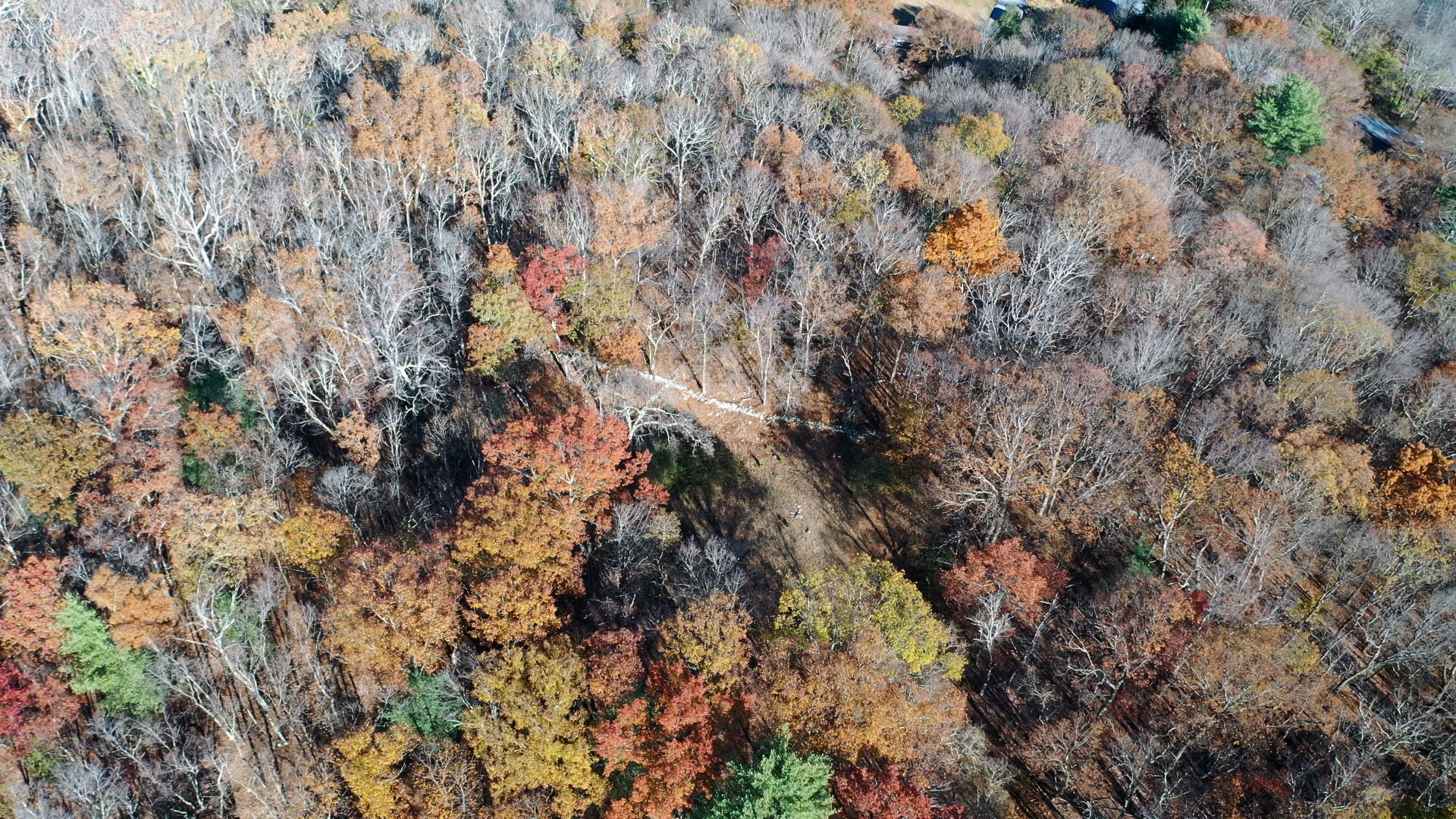 Oct-30-2024_hideaway-lane.jpg
